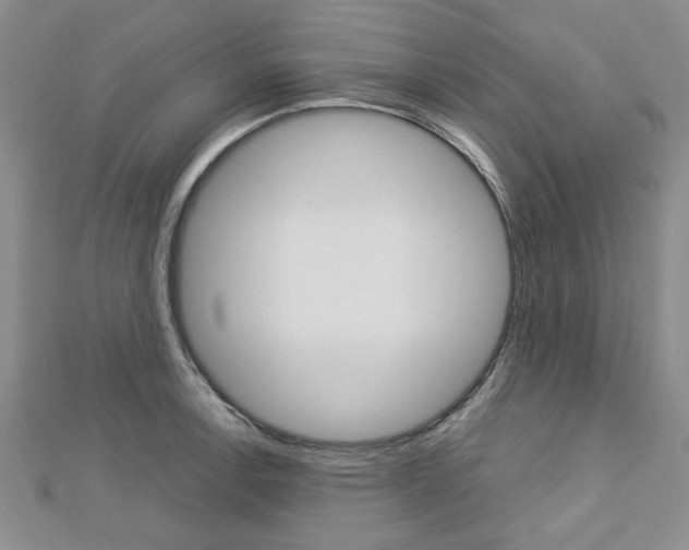 X0000113151138200909040926