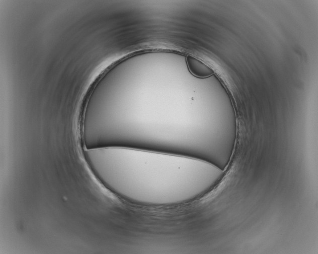 X0000113151141200909040927