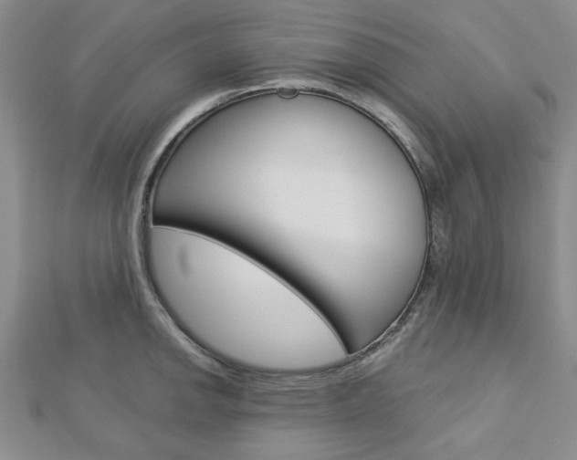 X0000113151142200909040927