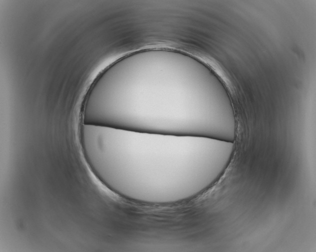 X0000113151143200909040927
