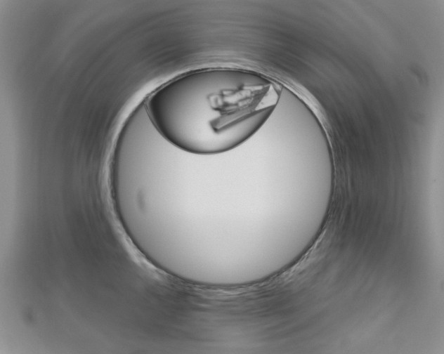 X0000113151144200909040927