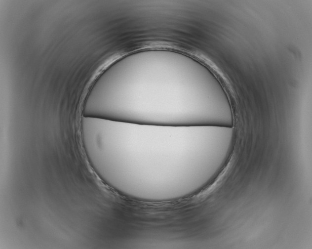 X0000113151145200909040927