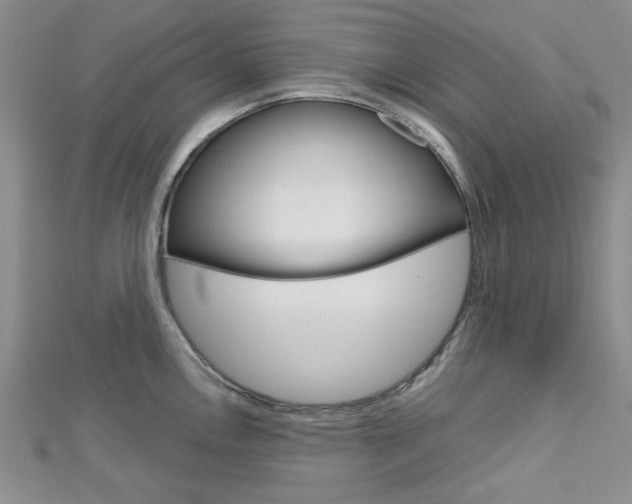 X0000113151146200909040927