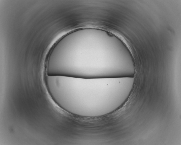 X0000113151147200909040927