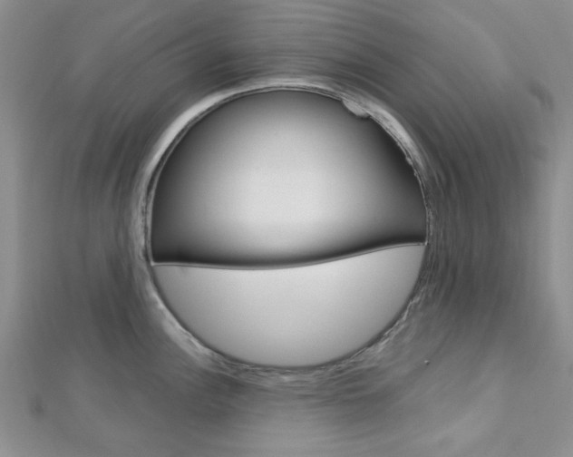 X0000113151148200909040927