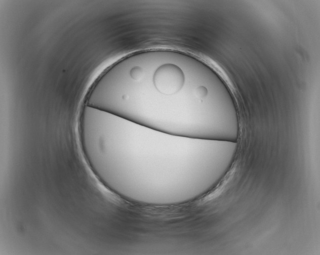 X0000113151149200909040927
