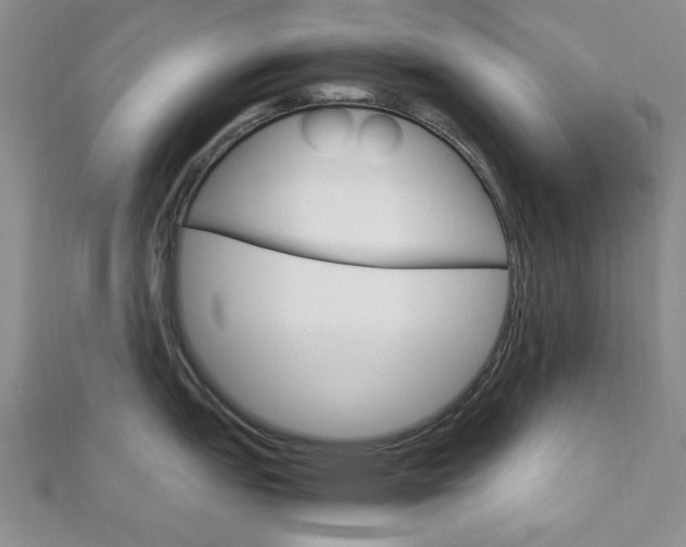 X0000113151151200909040927