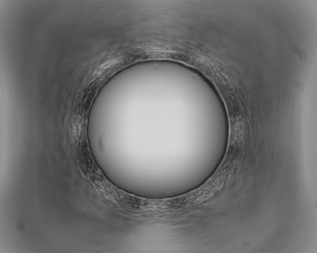 X0000113151157200909040926