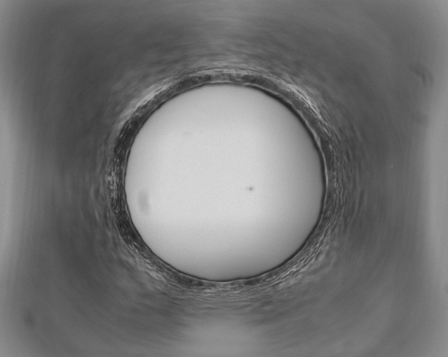 X0000113151159200909040926