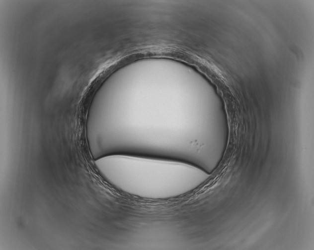 X0000113151160200909040926