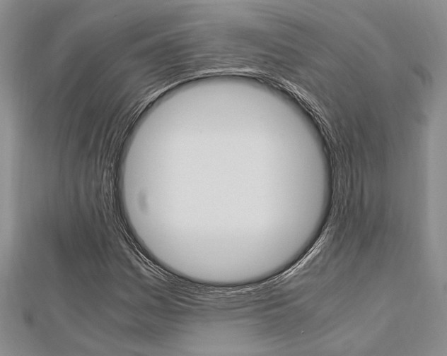 X0000113151161200909040926