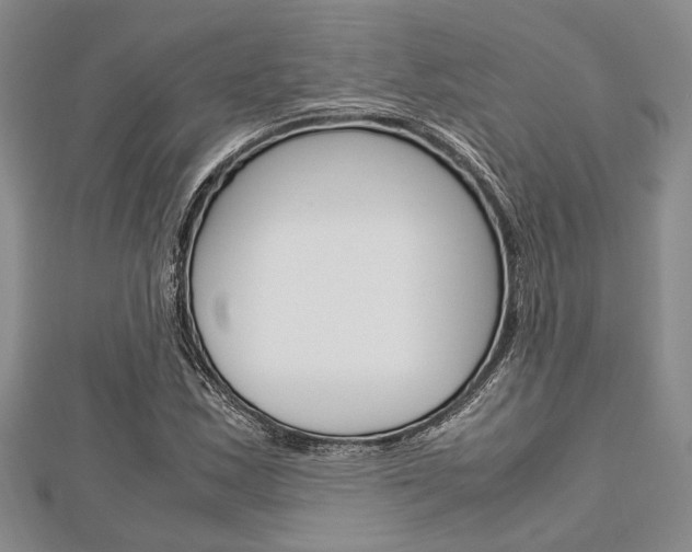 X0000113151163200909040926
