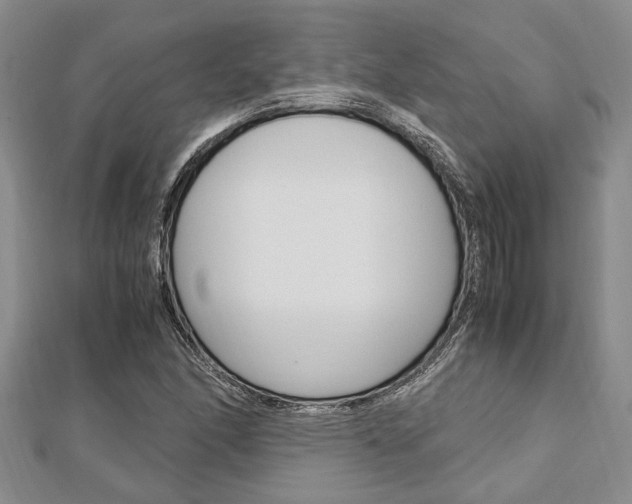 X0000113151166200909040926