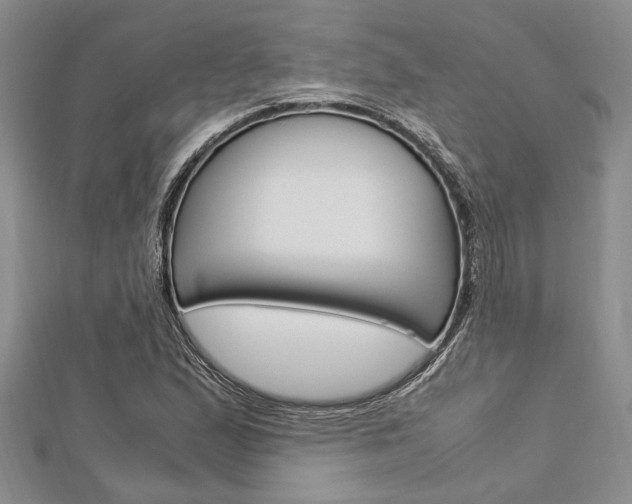 X0000113151167200909040926