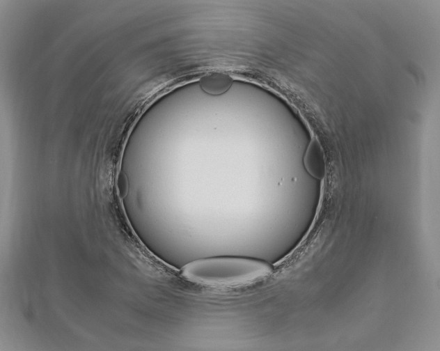 X0000113151169200909040926