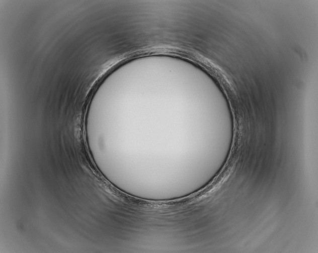 X0000113151170200909040926