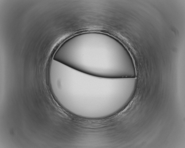 X0000113151171200909040926