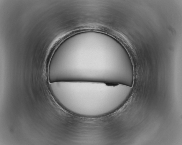 X0000113151172200909040926
