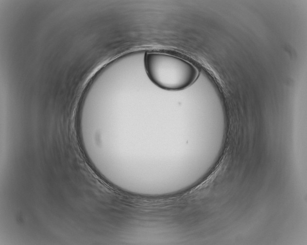 X0000113151173200909040926