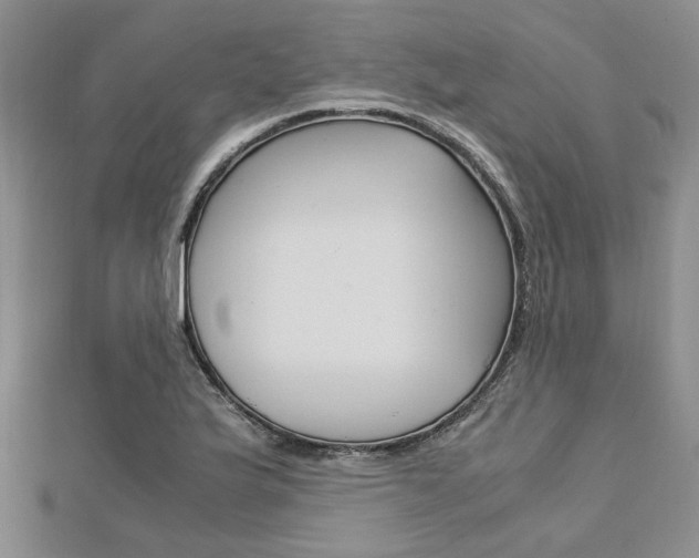 X0000113151175200909040926
