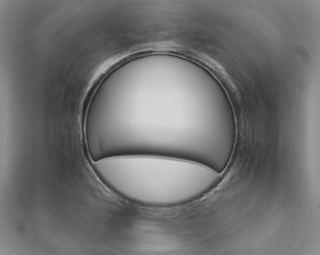 X0000113151176200909040926