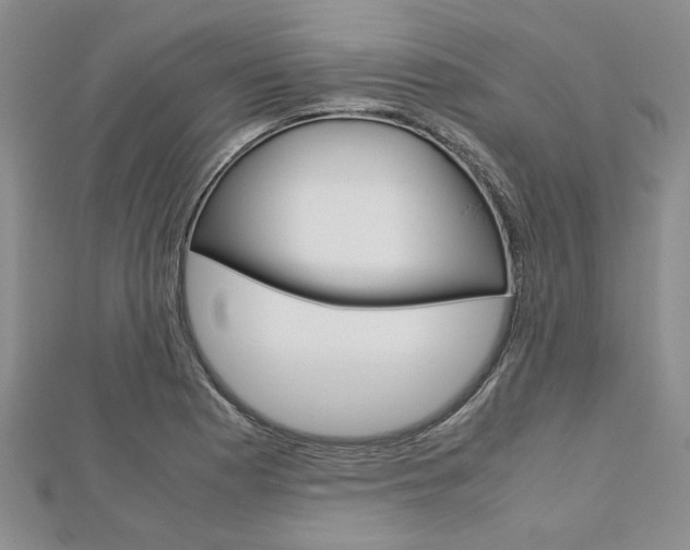 X0000113151177200909040926