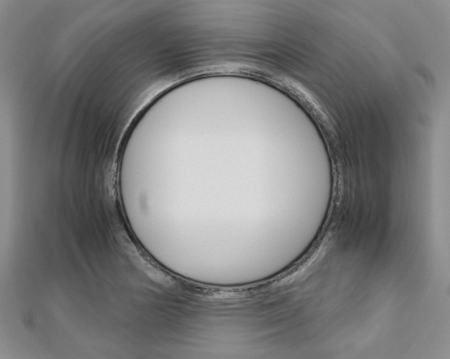 X0000113151178200909040926