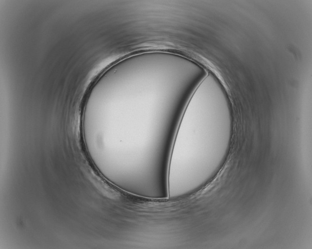 X0000113151179200909040926