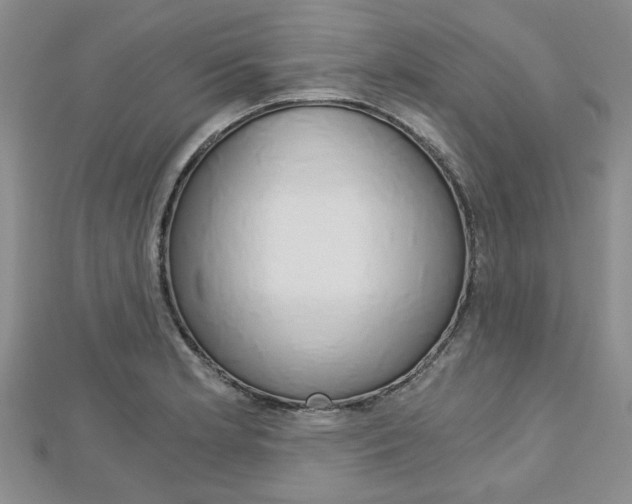 X0000113151181200909040926