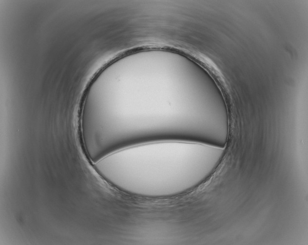 X0000113151183200909040926