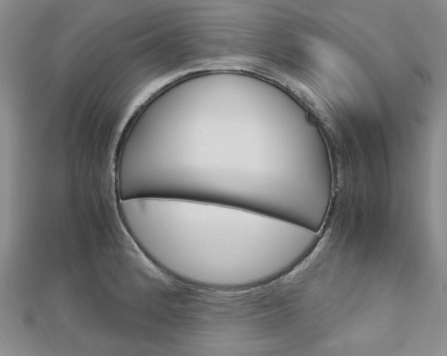 X0000113151184200909040926