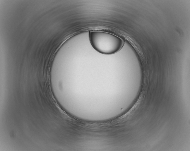 X0000113151185200909040926
