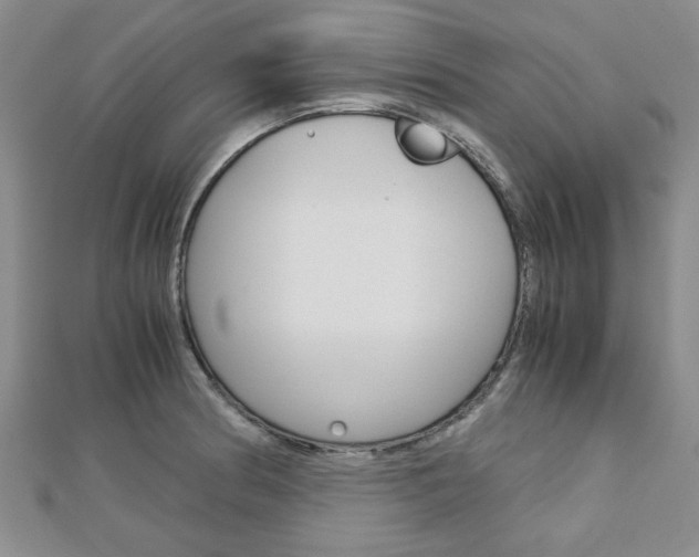 X0000113151186200909040926