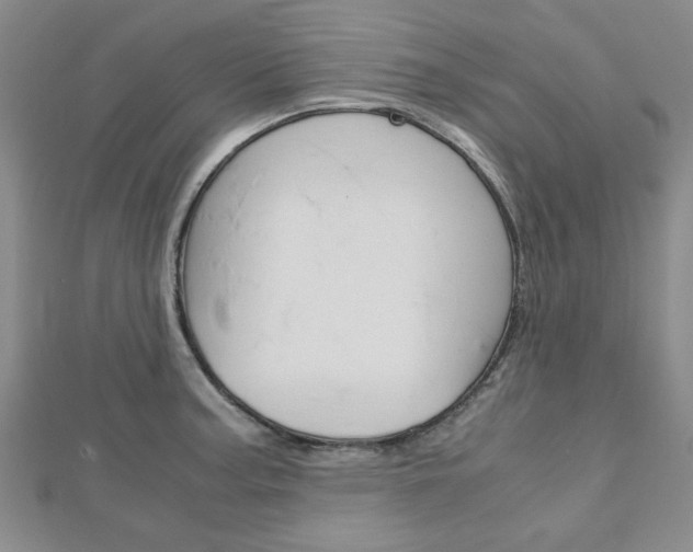 X0000113151187200909040926
