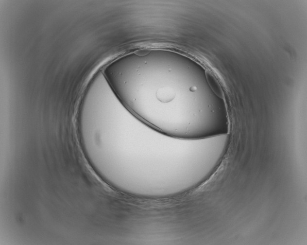 X0000113151189200909040926