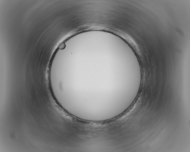 X0000113151190200909040926