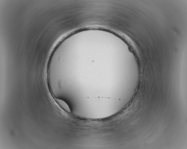 X0000113151191200909040926