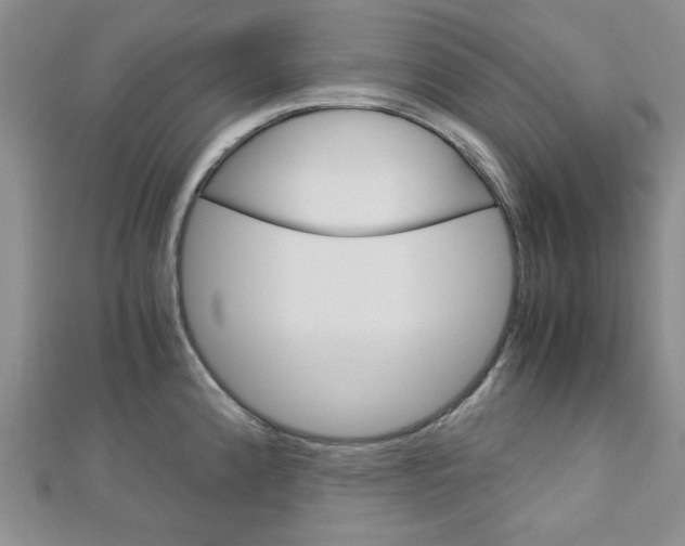 X0000113151192200909040926