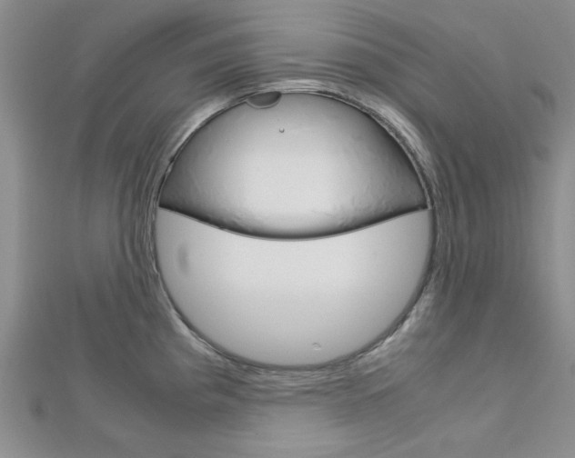 X0000113151193200909040926