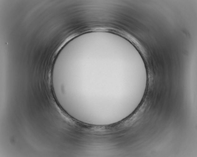 X0000113151194200909040926