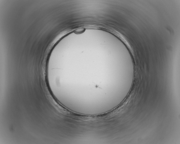 X0000113151195200909040926