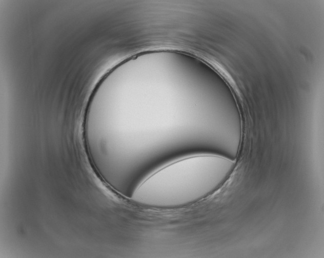 X0000113151197200909040925