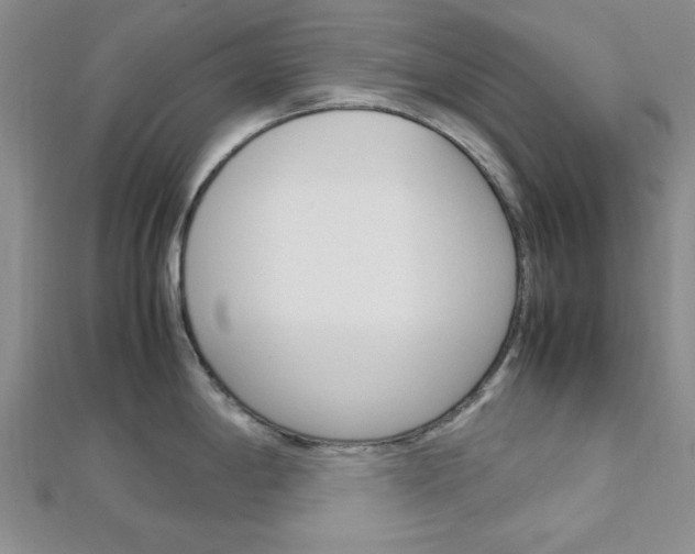 X0000113151198200909040925