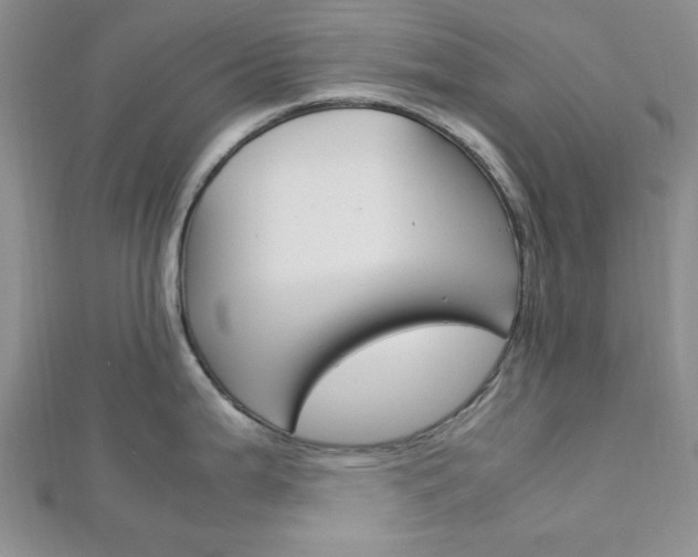 X0000113151199200909040925