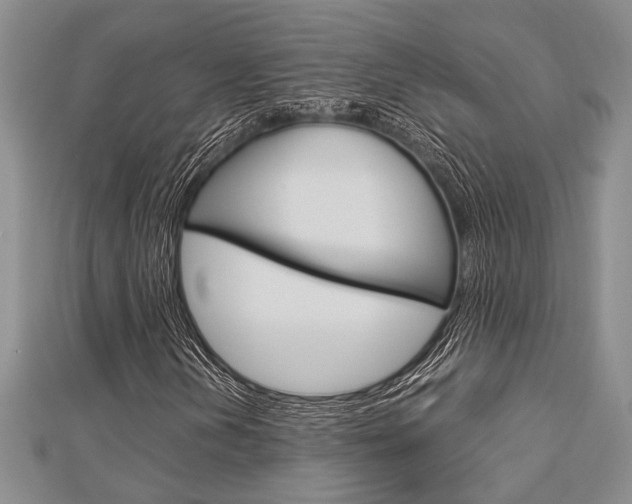 X0000113151202200909040925