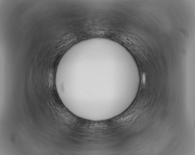 X0000113151203200909040925