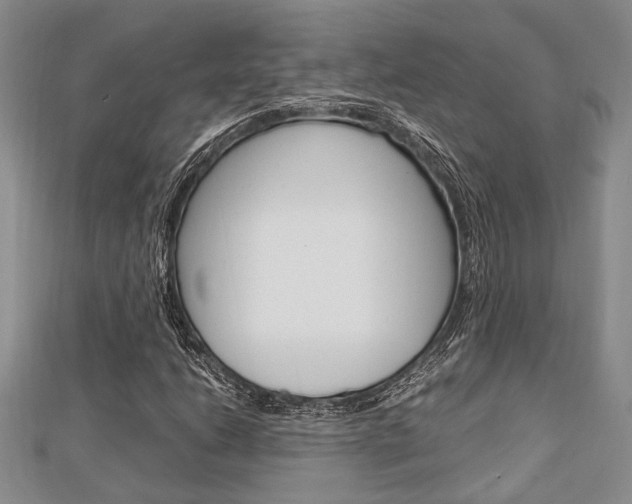X0000113151206200909040925