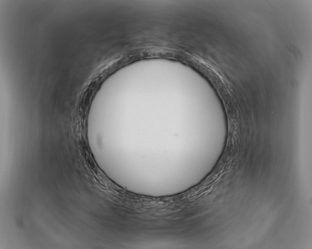 X0000113151207200909040925