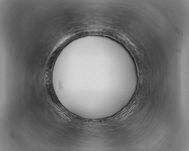 X0000113151208200909040925