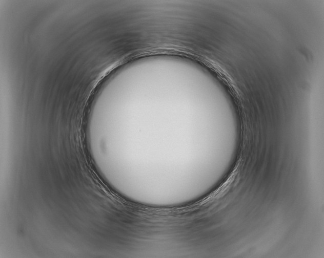 X0000113151210200909040925